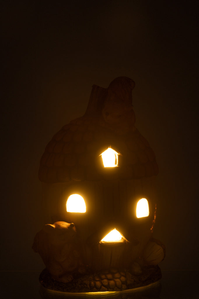 3Acorn House Led Magnesiummix