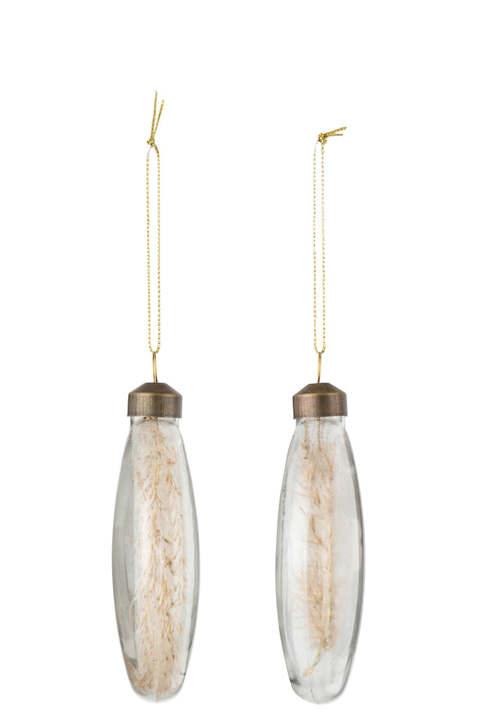 Doos met 4 kerstballen rond plat 2+2 gedroogde pampa's glas transparant medium