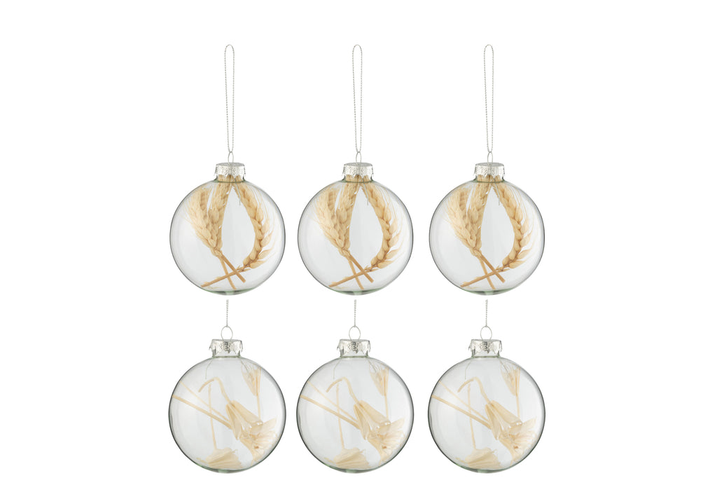 Doos met 6 kerstballen 3+3 gedroogde takken beige glas transparant klein