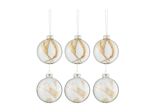 Doos met 6 kerstballen 3+3 gedroogde takken beige glas transparant klein