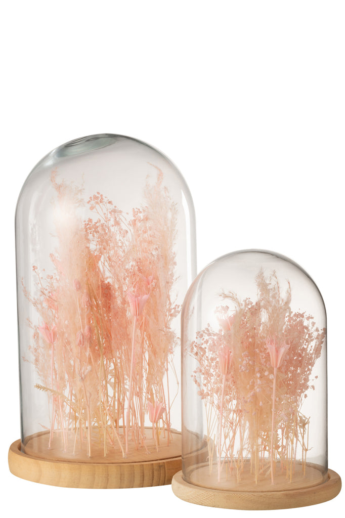 Bell Jar Gedroogde Bloemen Licht Roze Glas Hout Groot