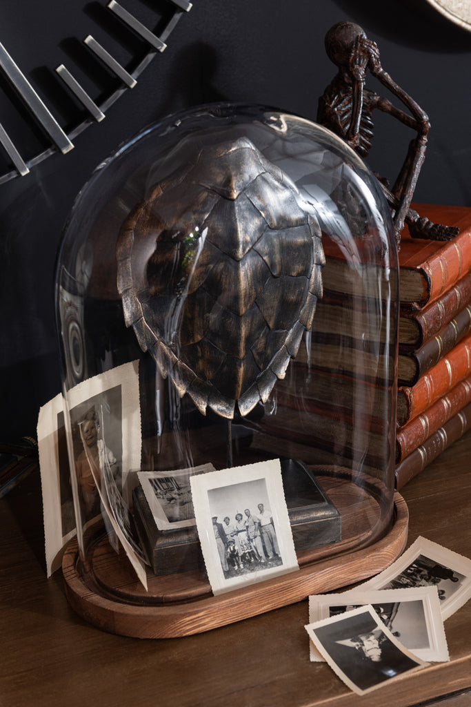 Bell Jar Ovaal Hout/Glas Transparant/Donkerbruin Klein
