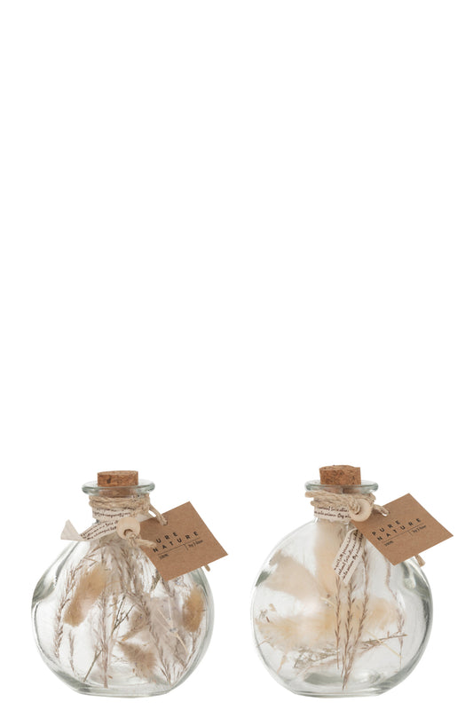 Flessen Met Gedroogde Bloemen Glas Natuurlijk Klein Assortiment Van 2