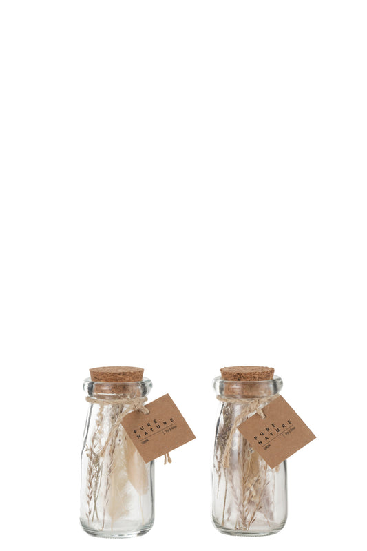 Flessen Met Gedroogde Bloemen Glas Naturel Extra Klein Assortiment Van 2