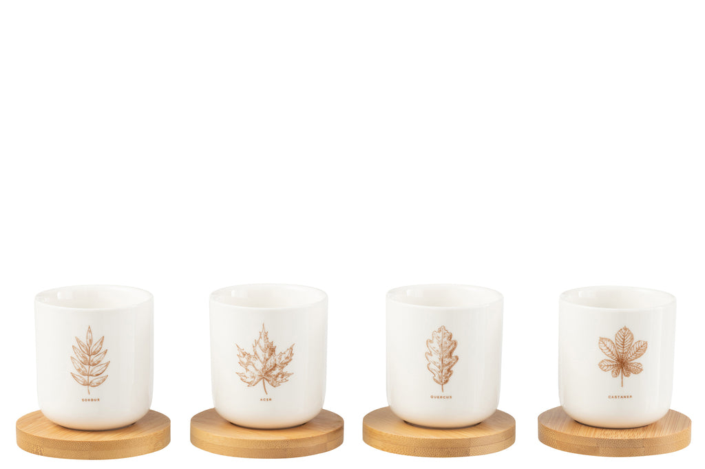 Doos met 4 koffiekopjes en bamboe schoteltjes, blad Windownbox Keramiek Bruin