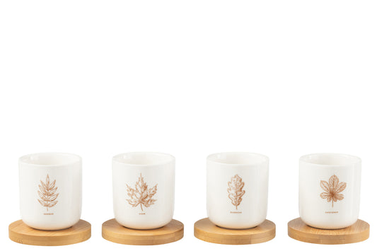 Doos met 4 koffiekopjes en bamboe schoteltjes, blad Windownbox Keramiek Bruin