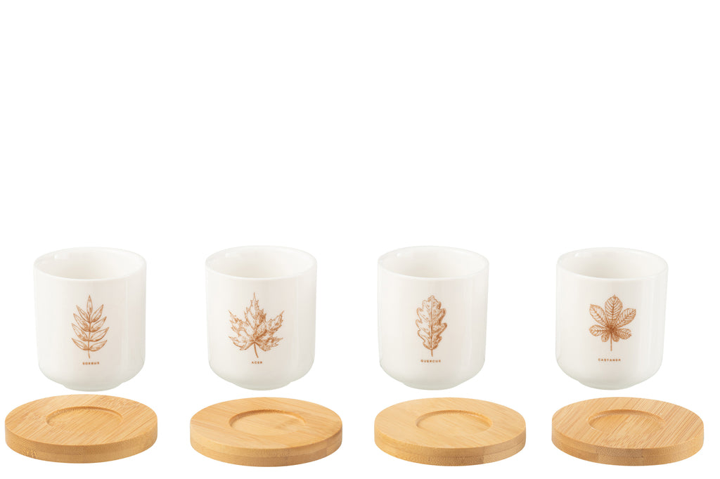 Doos met 4 koffiekopjes en bamboe schoteltjes, blad Windownbox Keramiek Bruin