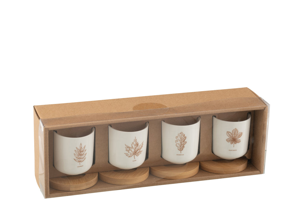 Doos met 4 koffiekopjes en bamboe schoteltjes, blad Windownbox Keramiek Bruin