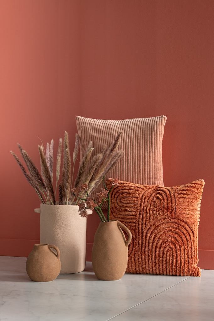 Bundel Pennisetum Gedroogd Gras Bruin