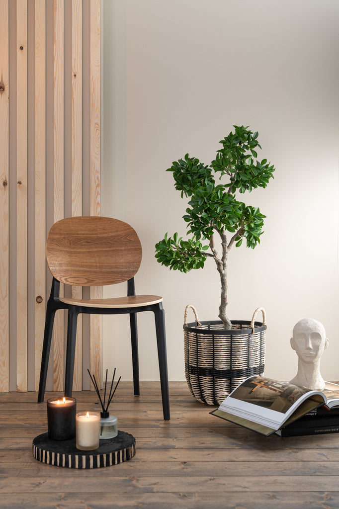 Stoel Basic Polyester/Fineer Naturel