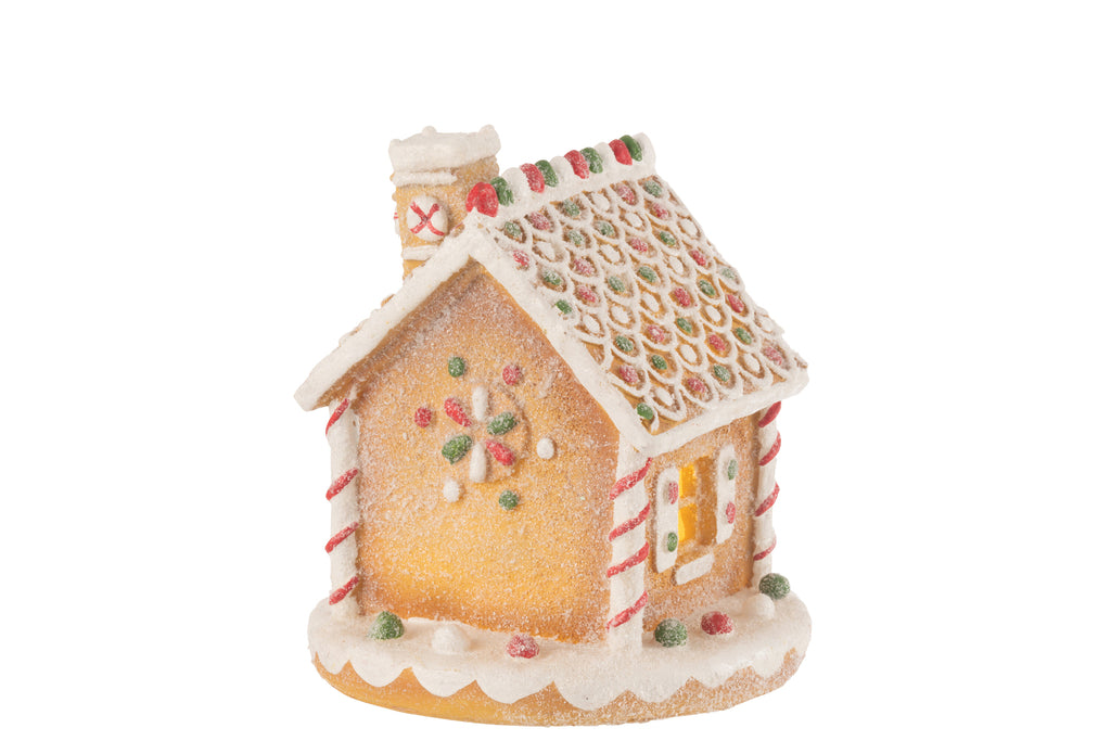 Huis geleid peperkoekharsmix