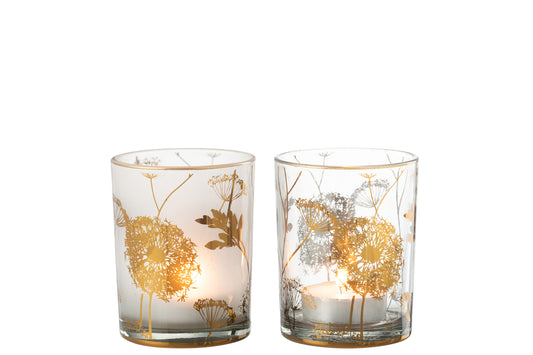 Hurricane Dandelion Glas Helder/Mat/Goud Medium Assortiment Van 2