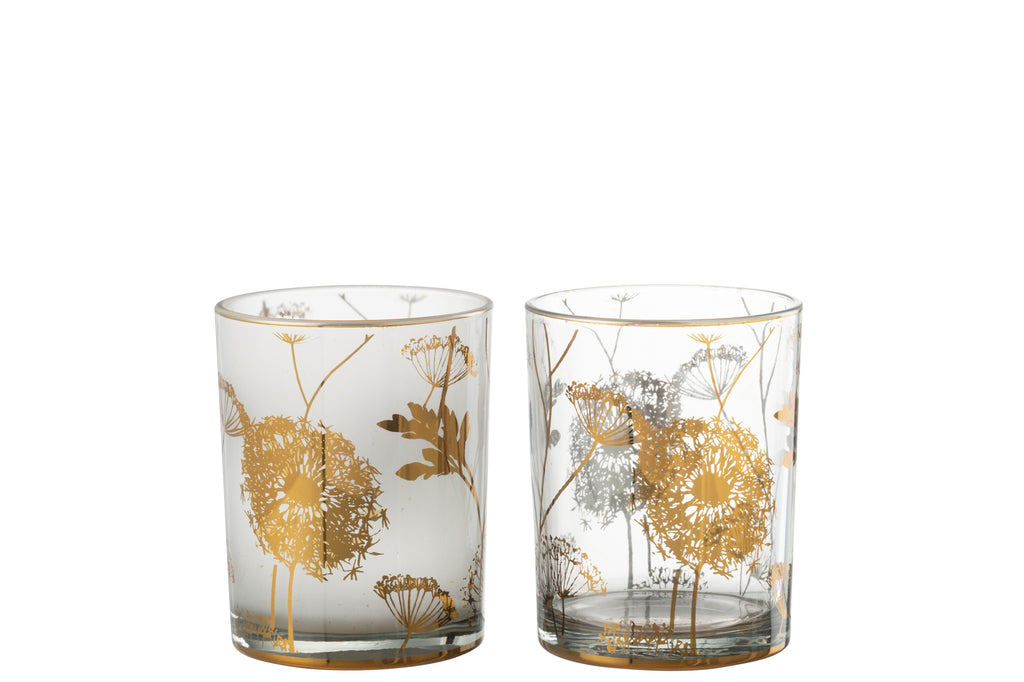 Hurricane Dandelion Glas Helder/Mat/Goud Medium Assortiment Van 2