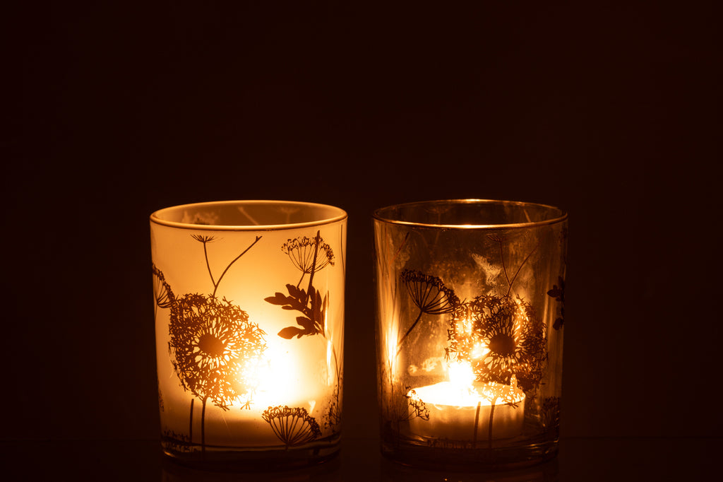 Hurricane Dandelion Glas Helder/Mat/Goud Medium Assortiment Van 2