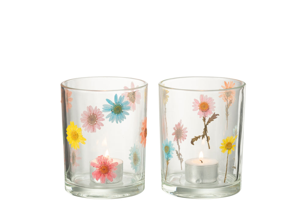 Hurricane Posy Grote Glazen Mix Assortiment Van 2