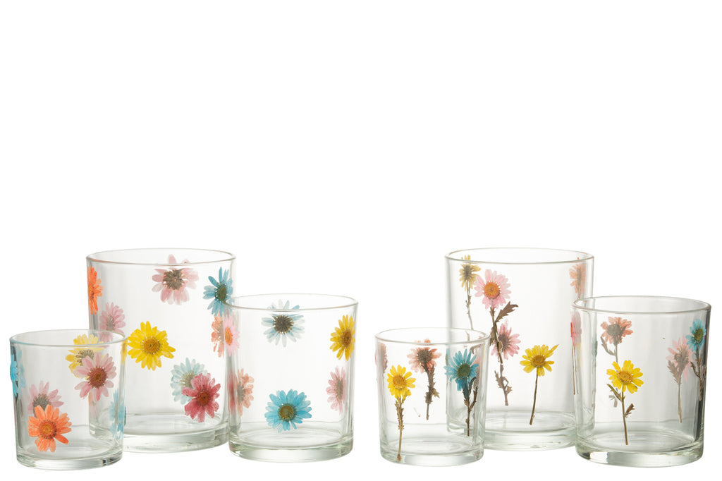 Hurricane Posy Grote Glazen Mix Assortiment Van 2