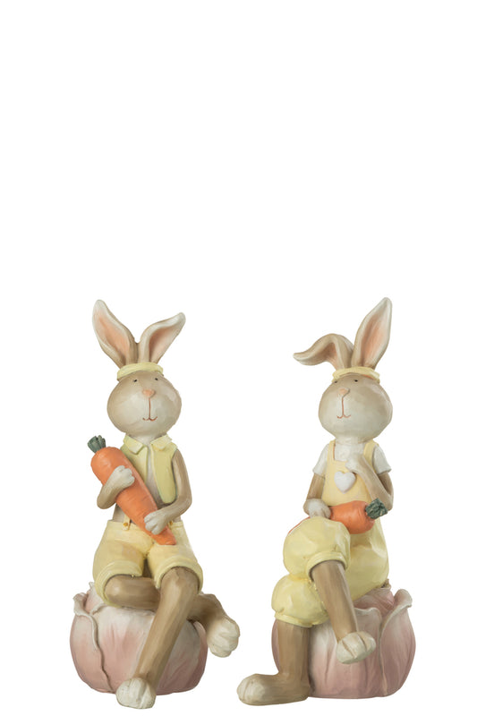 Konijn zittend op bloem Poly Mix Assortiment van 2