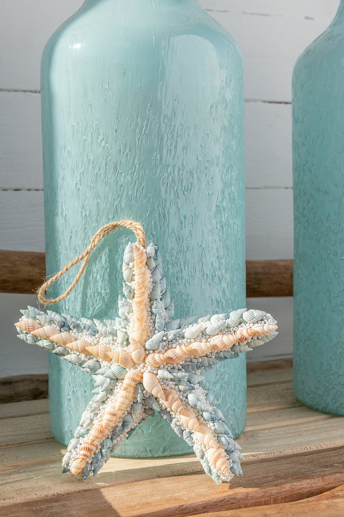 Zeesterschelpen/Polyfoam Beige/Blauw