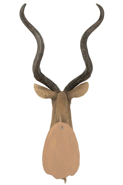 Antilopekop Poly Bruin
