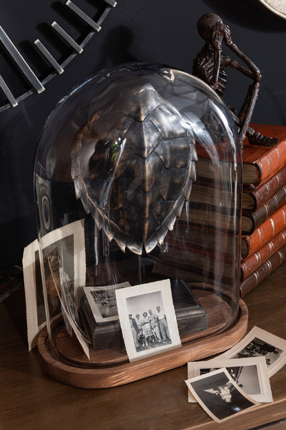 Bell Jar Ovaal Hout/Glas Transparant/Donkerbruin Klein