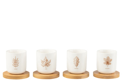 Doos met 4 koffiekopjes en bamboe schoteltjes, blad Windownbox Keramiek Bruin
