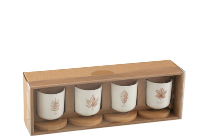 Doos met 4 koffiekopjes en bamboe schoteltjes, blad Windownbox Keramiek Bruin