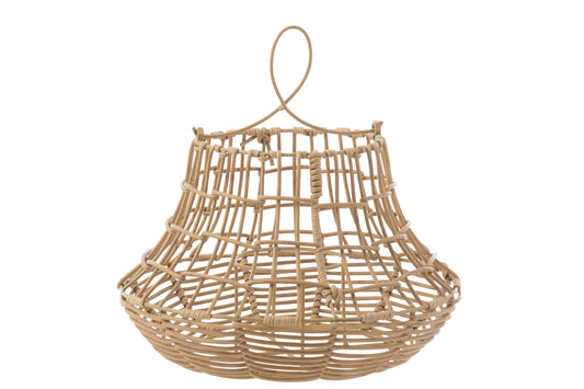 Orkaan Hangend Hoog Rotan Natuurlijk