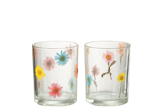 Hurricane Posy Grote Glazen Mix Assortiment Van 2