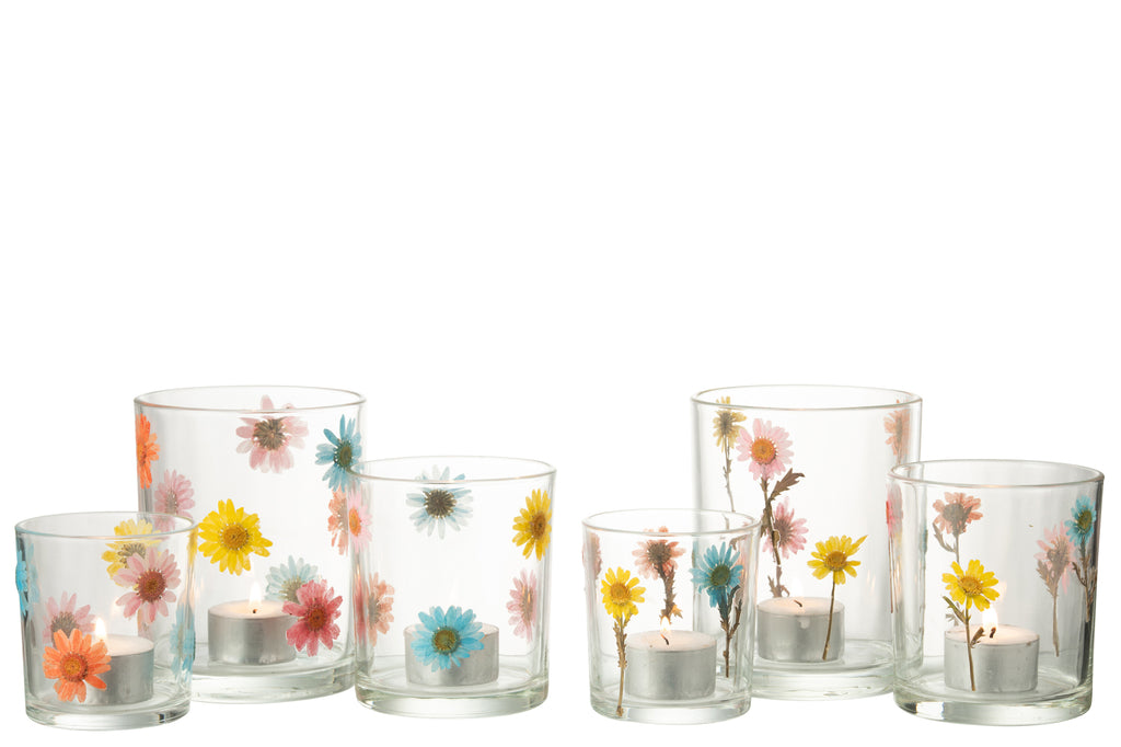 Hurricane Posy Grote Glazen Mix Assortiment Van 2