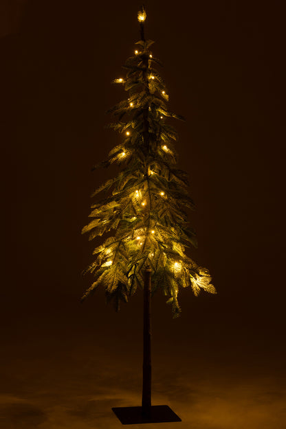 Kerstboom C+Led Plastic Sneeuwgroen Groot